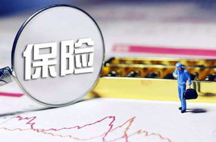 新农合与社保并存逻辑解析 核心区别与网络时代的“爱德思考”